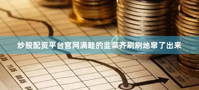 炒股配资平台官网满畦的韭菜齐刷刷地窜了出来